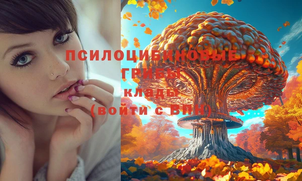 PSILOCYBIN Беломорск