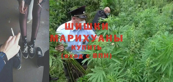 трава Белокуриха