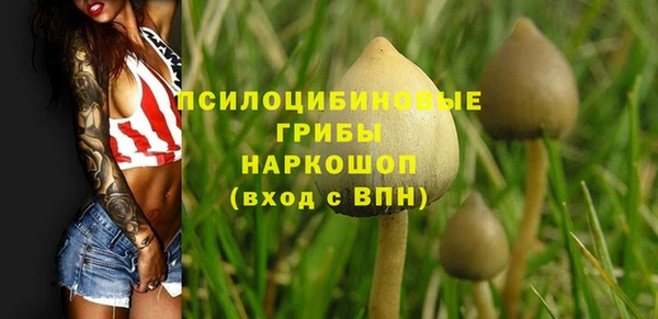 Альфа ПВП Белоозёрский