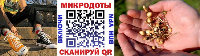 наркотики blacksprut Псилоцибиновые грибы ЛСД Ялта